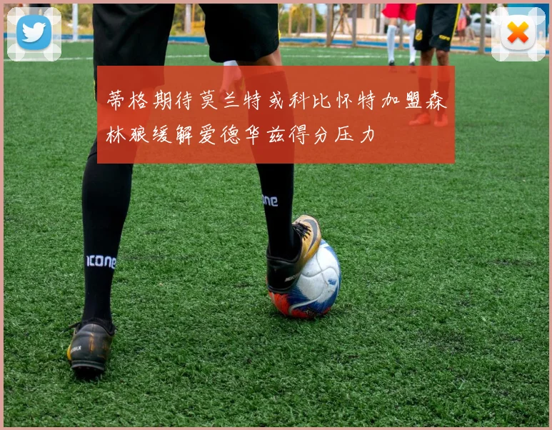 蒂格期待莫兰特或科比怀特加盟森林狼缓解爱德华兹得分压力